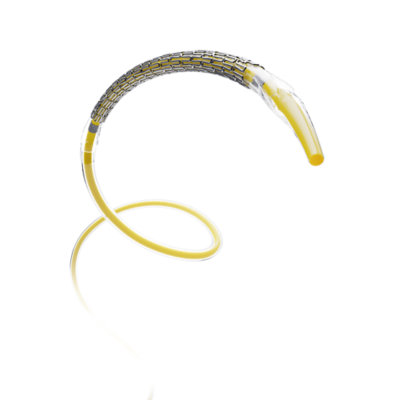 Deathpair （ex.ZEILE） / 血核 AZ-09 Geno Saurer|P-Rex Hobby